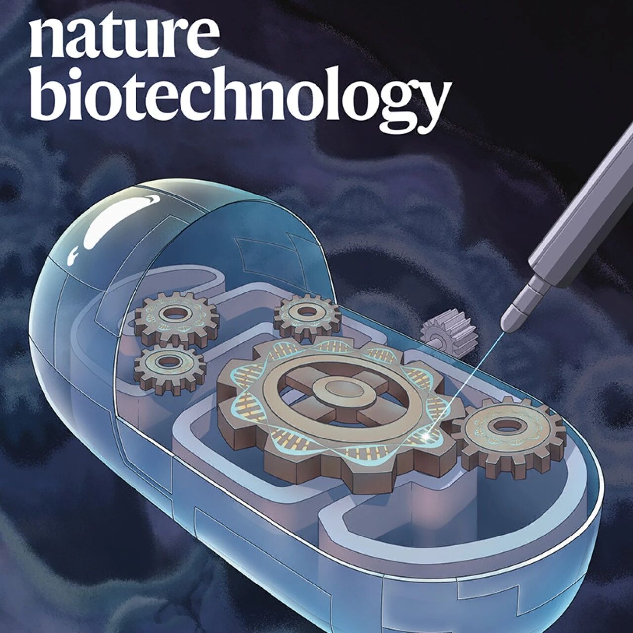 《自然-生物技术》新文上线︱西湖大学章永登团队开发纳米尺度超分辨成像技术me4Pi-SMLM