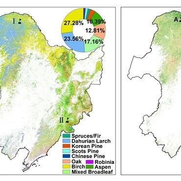 东北地理所在东北森林生物量高精度制图研究方面取得重要进展