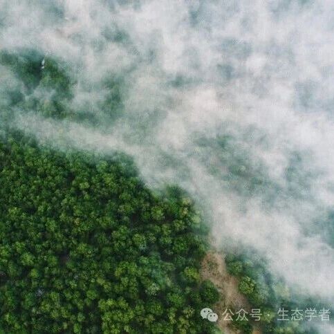 综述文章！中国科学院地理资源所樊杰团队在《National Science Review》发表中国自然承载力研究进展综述文章