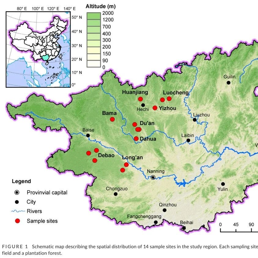 【Journal of Applied Ecology 】 亚热带所李德军研究员团队揭示喀斯特地区造林后微生物残体碳主导颗粒态与矿物结合态有机碳的积累