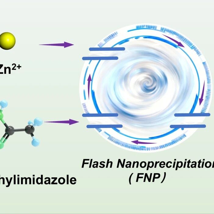 石河子大学于锋教授Next Nanotechnology：MOF衍生Zn-N-C作为锂/钠离子电池负极材料