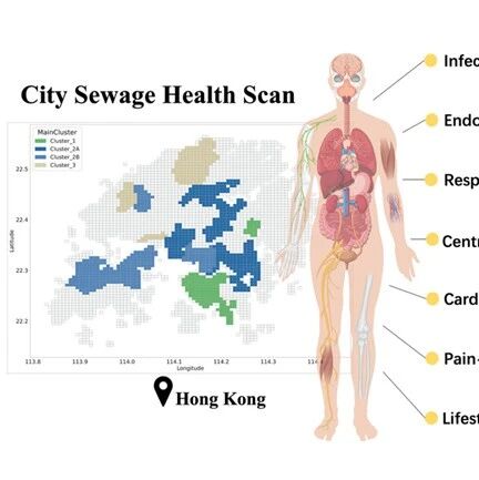 香港大学张彤团队WR：从“个人体检”到“城市体检”——基于污水流行病学的多维化学分析