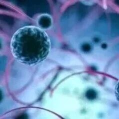 Aging Cell | 北大韩敬东团队重磅综述，系统总结延长寿命的内源性代谢物