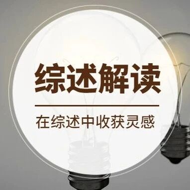 中南大学/上海交大Progress in Materials Science顶刊综述：轻合金表面耐磨等离子体电解氧化涂层—从工艺到微观结构的全流程设计策略