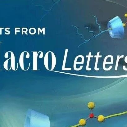ACS Macro Letters | 复旦彭娟/长春应化所韩艳春观点文章：系统阐述共轭嵌段共聚物的结晶和微相分离