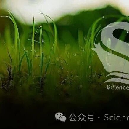 Nature plants | 中山大学贺雄雷团队揭示植物分枝发育的“三生万物”法则， 附专家点评