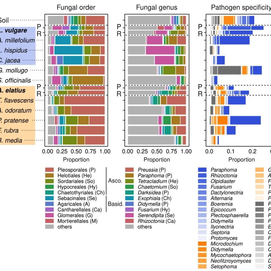 New Phytologist | 地下病原体沿“生命之树”迁移：植物群落的系统发育结构驱动真菌病原体的地下传播