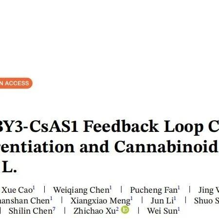 Adv Sci：中国中医科学院中药研究所联合东北林业大学等机构揭示大麻腺毛分化与大麻素生物合成协同调控新机制