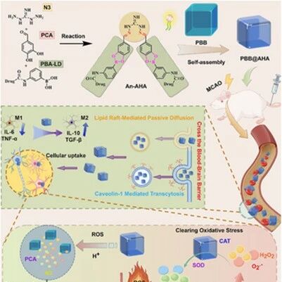 Adv Sci | 潜入大脑的“特洛伊木马”！吉林大学李亚鹏等团队开发智能纳米药物，用病灶环境作“钥匙”释放三重疗效