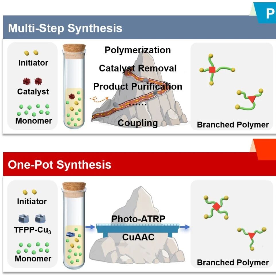 武汉大学蔡韬团队 Macromolecules：双功能Cu(I)-三苯磷基共价有机框架实现photo-ATRP与CuAAC正交反应一锅法合成支化聚合物