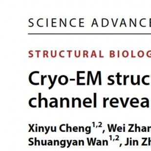 Scie Adv｜南昌大学张进团队揭示慢性咳嗽药物导致味觉障碍的分子机制
