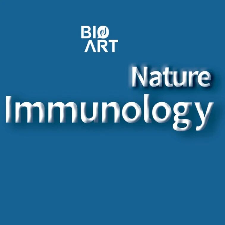 Nat Immunol | 雷群英团队揭示支链酮酸作为信号代谢物被NOTCH2感知重塑肿瘤免疫微环境