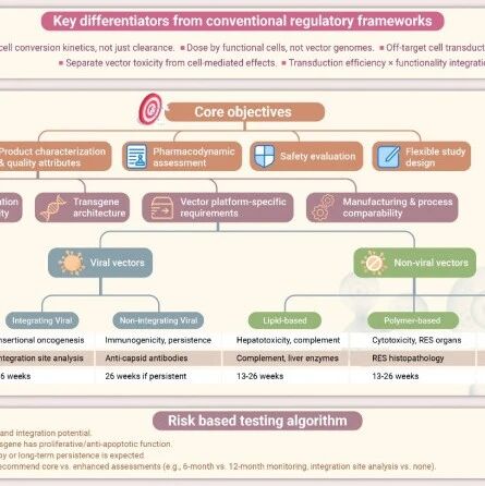 The Innovation Drug Discovery | 从实验室到临床：体内生成细胞疗法非临床评价的思考与建议