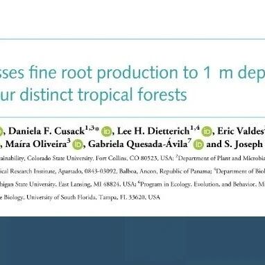 New Phytologist | 干旱抑制热带森林1米土层内的细根生长并改变根系性状