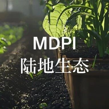 Sustainability：农业温室气体排放作为农业可持续发展的决定因素——方法论与实践路径