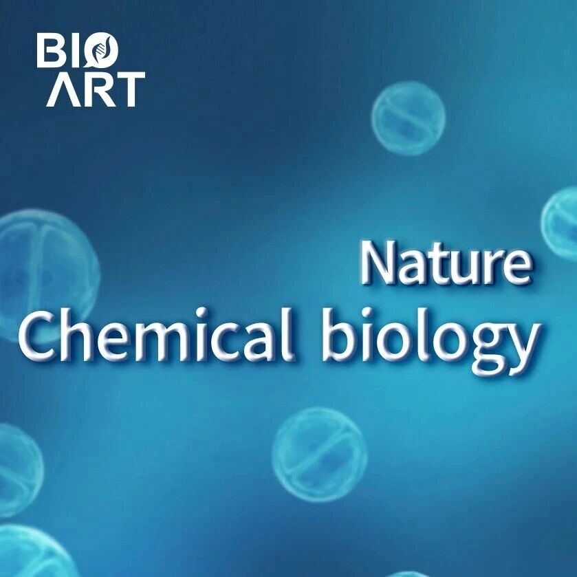 Nat Chem Biol | 张凯铭/李珊珊团队揭示鱼腥藻内含子无损环化机制并提升环化效率