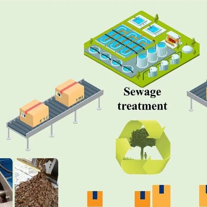 文献速递|华中科技大学WR:生物炭性质在污水选择性氧化中的权衡分析：超越芬顿法处理后的污泥脱水