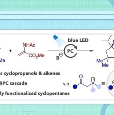 ACS Catal.：环丙醇与烯烃的氧化还原中性自由基-极性交叉[3+2]环合反应
