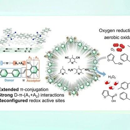 JACS：不对称π共轭结构乙烯基sp²-COF用于高效仿生光合成