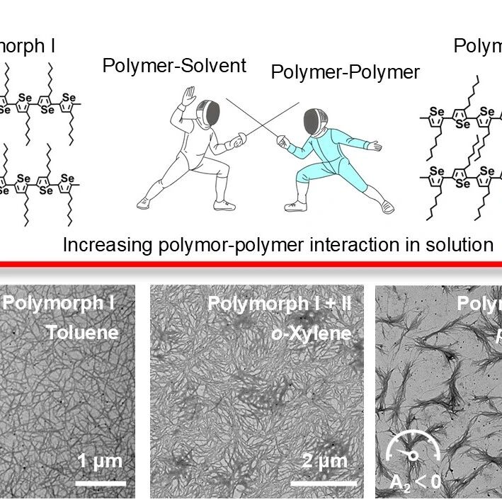 复旦大学彭娟团队 Nano Lett.: 协调共轭高分子-溶剂相互作用实现多晶型的高效调控