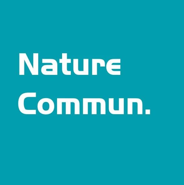 华中科技大学袁利霞、黄云辉、伽龙团队Nature Commun.：废旧三元正极直接再生高振实密度单晶！