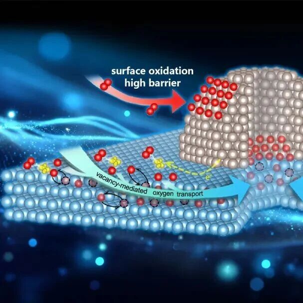 张涛院士领衔！南方科技大学：多相催化-氧溢流 | Nature