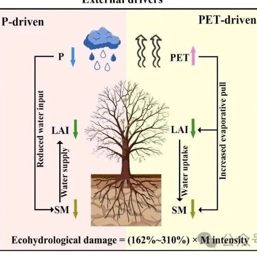 Communications Earth & Environment | 北师大李小雁教授创新群体发文揭示气象—土壤—生态干旱传递中生态水文损失的非线性放大现象
