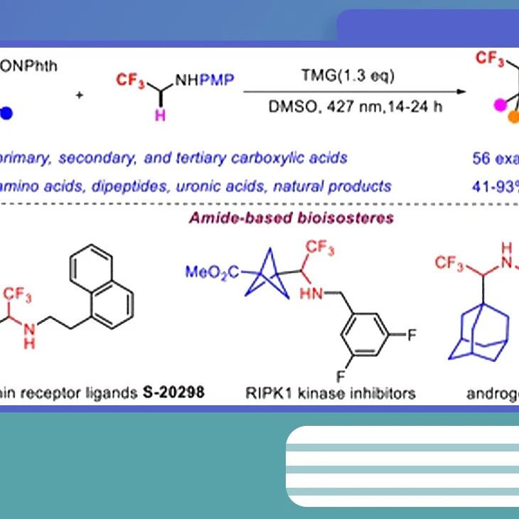 【Angew. Chem.】上海大学黄伟臣团队：为不稳定酰胺“换芯”，开发药物修饰新平台