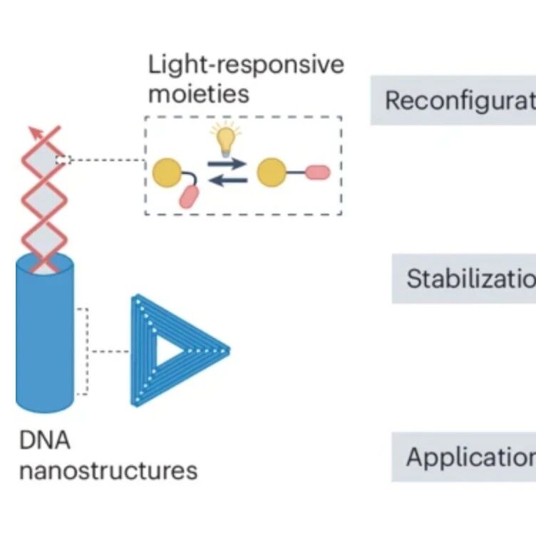 研究进展：光控DNA纳米结构-核酸功能材料 | Nature Reviews Chemistry