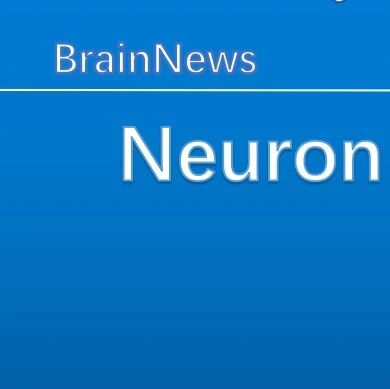 Neuron：王军课题组揭示同一类神经元内编码酒精复发与消退的双重记忆机制