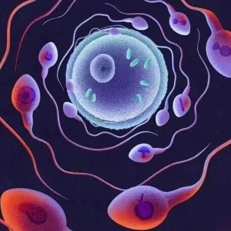 婚姻是抗癌良药？迄今最全面研究揭示，不结婚会大幅增加癌症发病风险｜父亲的孕前行为，已经悄悄改变了孩子的未来｜本周值得读