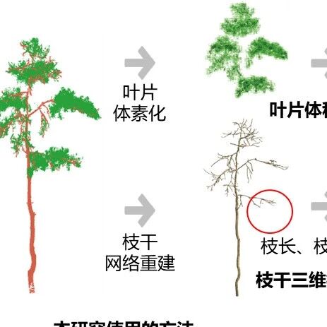 Methods in Ecology and Evolution | 植物所苏艳军研究团队提出一种基于地基激光雷达的树木地上生物量及其组分分配的无损估算方法