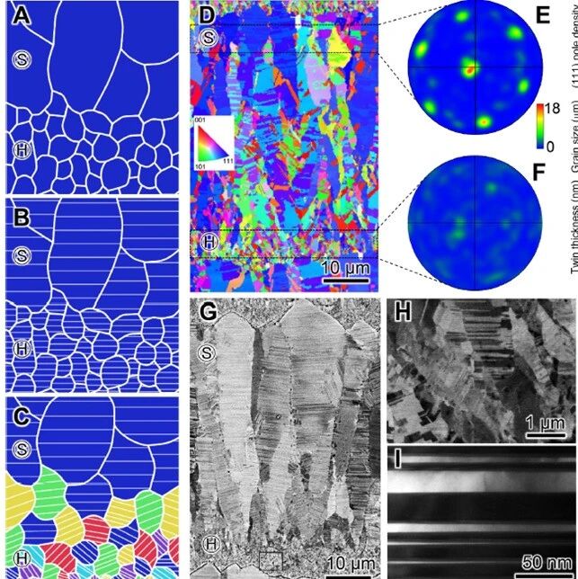 卢磊&高华健团队《Materials Today》：基元序构金属新发现！织构梯度设计实现强度-塑性协同提升