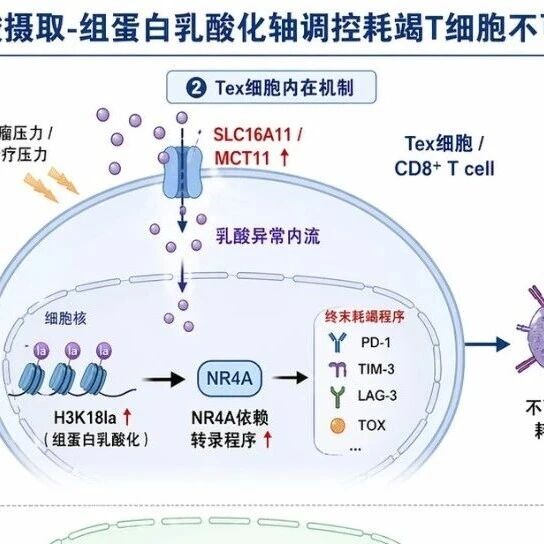H1806肿瘤免疫领域的50个选题方案与50篇一区文章设计