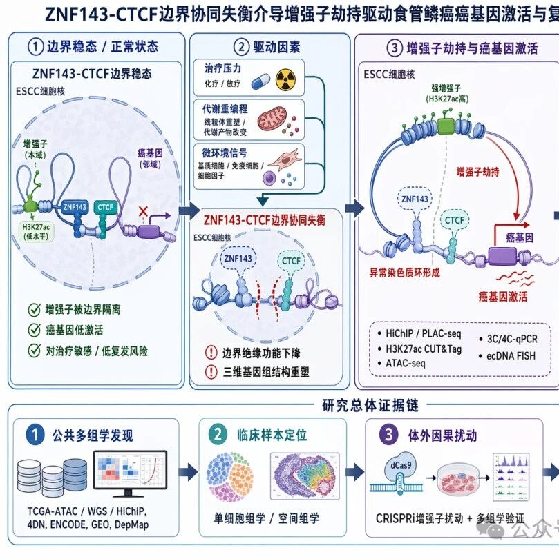 H1805 肿瘤表观遗传领域的50个选题方案与50篇一区文章设计