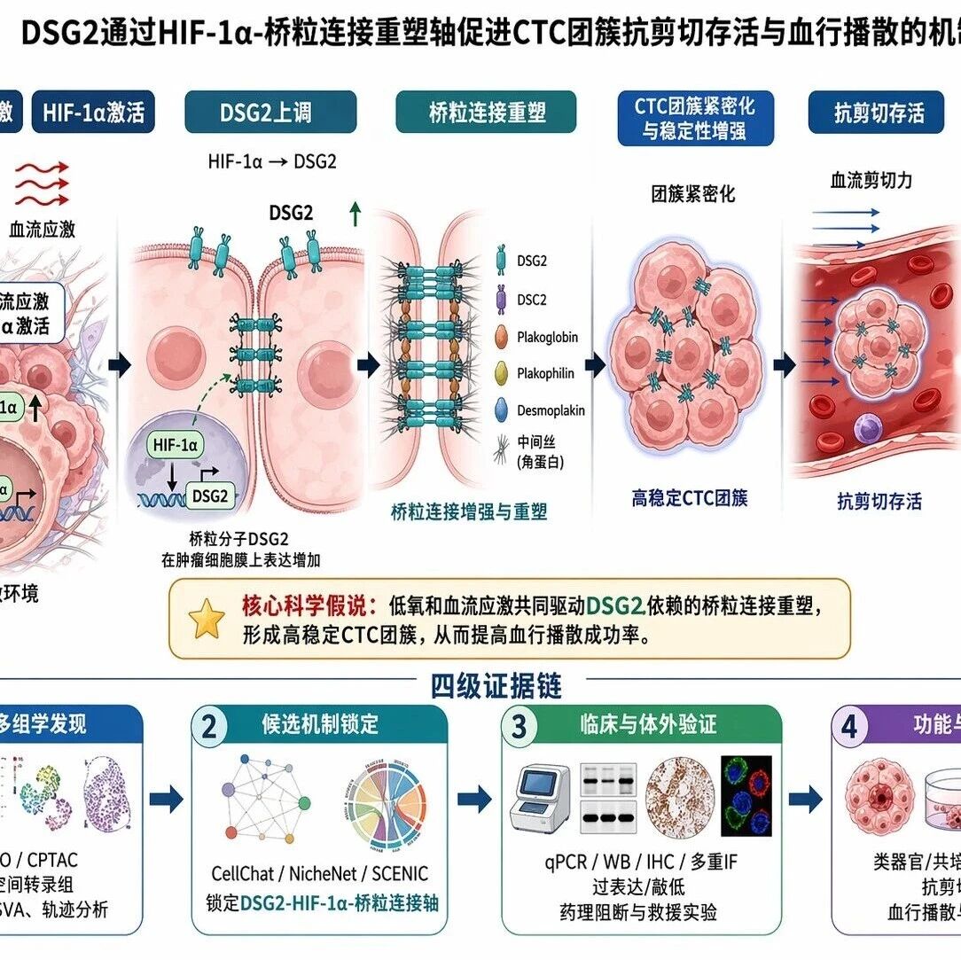 H1809肿瘤复发与转移研究领域50个选题方案与50篇一区文章设计