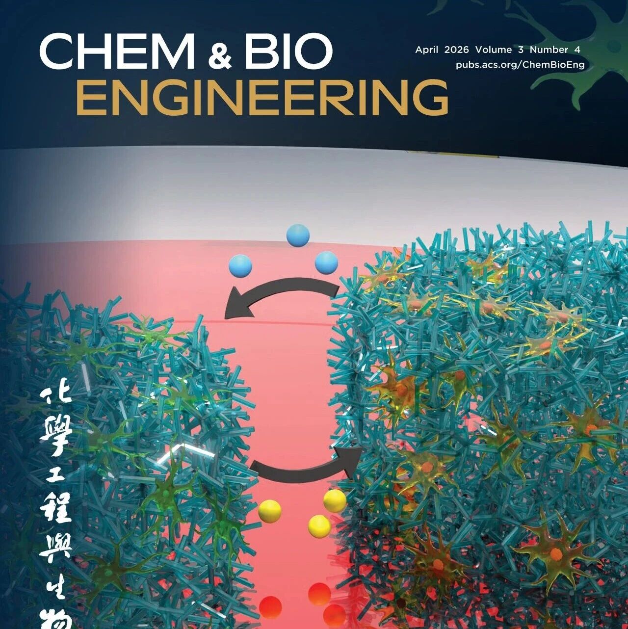 Chem & Bio Engineering 2026年第四期发布