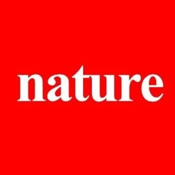 物理所「国家杰青」李泓/黄学杰&南科大王启迪&清华大学最新Nat. Rev. Chem.丨化学异质性设计突破电池性能瓶颈！