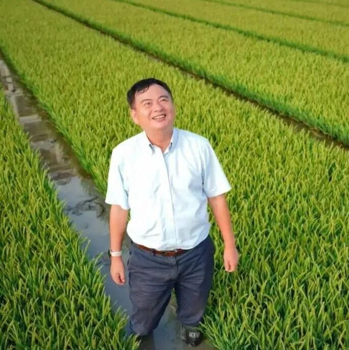 钱前院士团队在顶刊（IF=36.6）发文