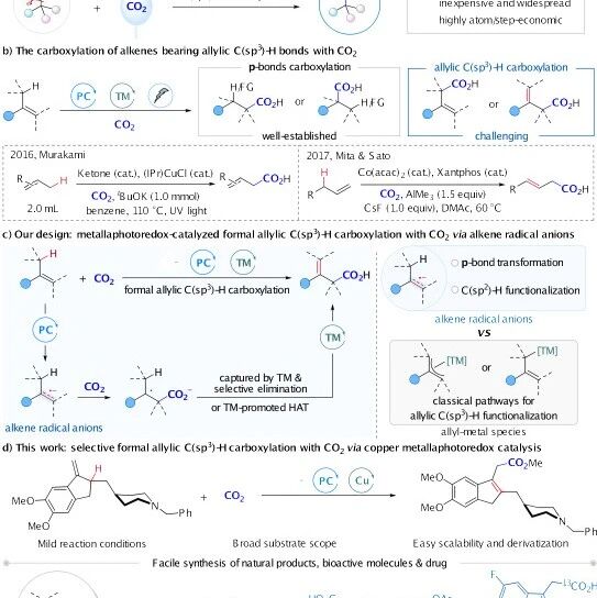四川大学余达刚/宋磊合作发表Angew：可见光/铜协同催化CO2参与的形式上烯丙位C(sp3)–H羧基化反应
