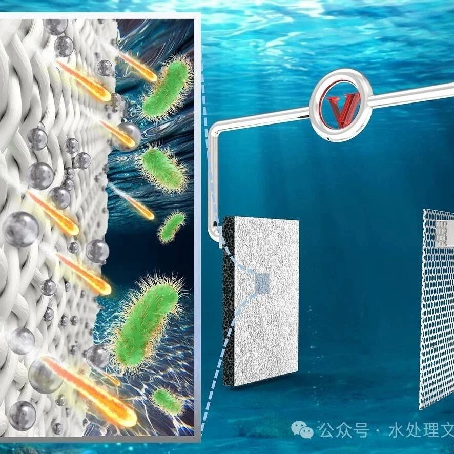 文献速递|加拿大阿尔伯塔大学SPT:在膜蒸馏和电-芬顿混合过程中使用新型导电膜去除水中新兴污染物