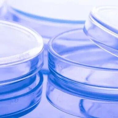 《食品科学》：东北农业大学孟祥晨教授等：一株具有高富集钙能力乳酸菌的筛选及富集钙菌体的结构特点