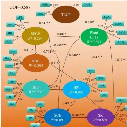 贵州师范大学喀斯特研究院王霖娇教授团队在环境生态学领域国际TOP期刊发表研究论文