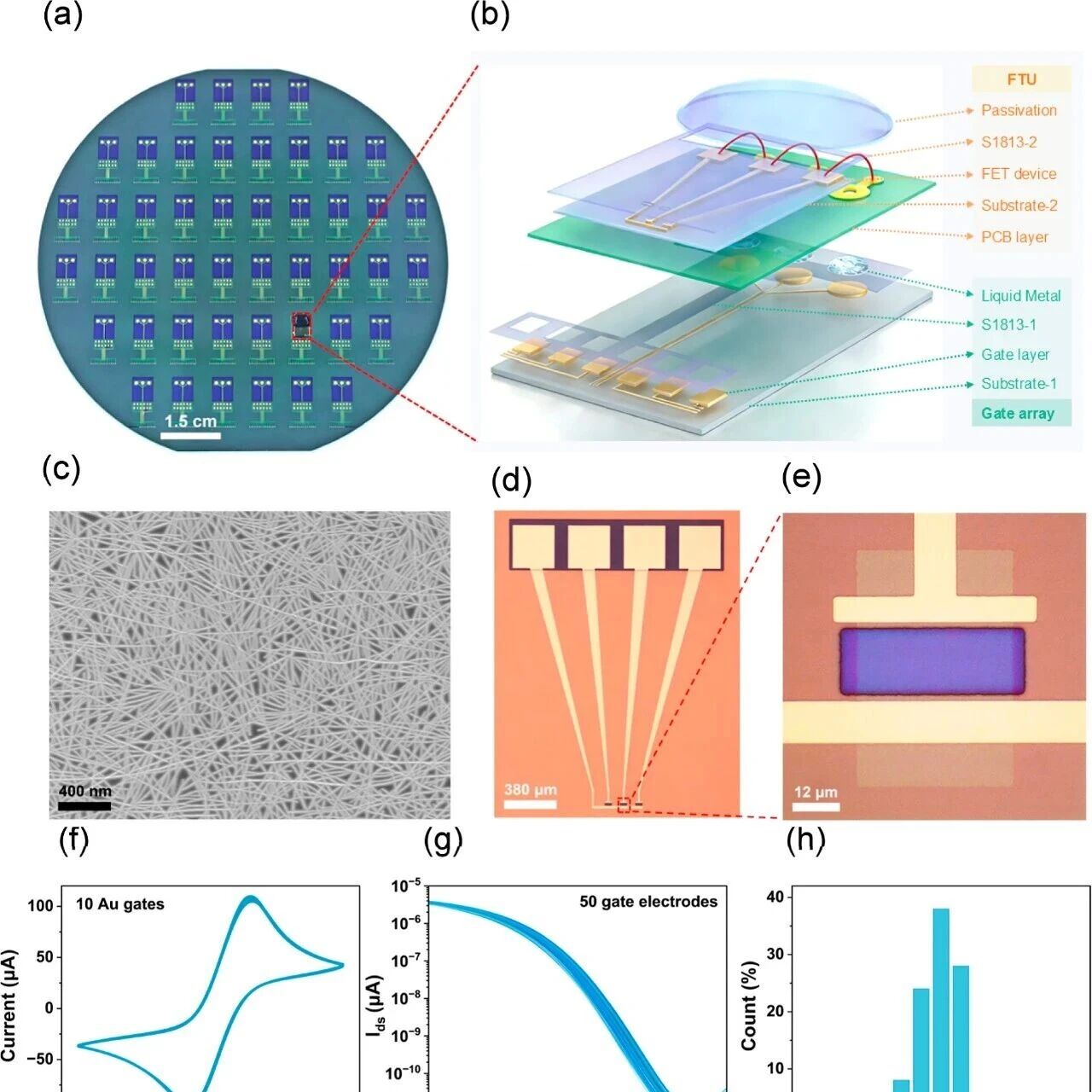 ACS Nano：用于场效应晶体管生物传感器的模块化功能门以实现痕量miRNA的可靠检测