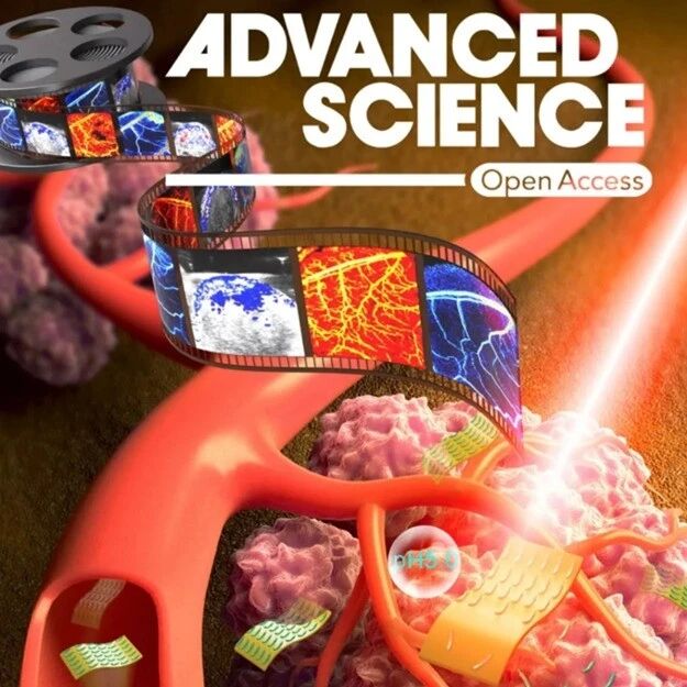 复旦李鹏/河工大李志强等Adv. Sci.：酶启发氢键有机框架材料，实现神经毒剂模拟物的捕获-检测-降解一体化