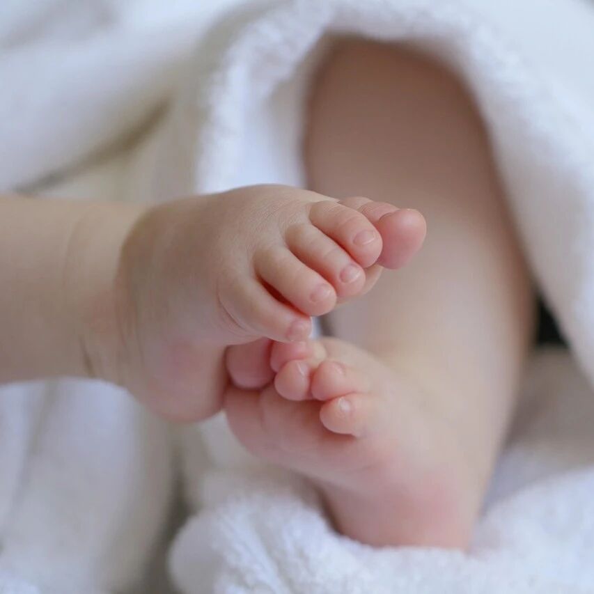 人类为什么大多一胎一个？35岁后更易生双胞胎？多项研究表明：人类生娃是一场精妙算法，越难怀上时，却越容易生双胞胎