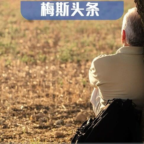 颠覆！白头发多，更不易患癌；脱发越狠修复越快？最新研究：白发是防癌的代价，脱发为皮肤修复让路，干细胞在压力下主动弃颜值，保生存