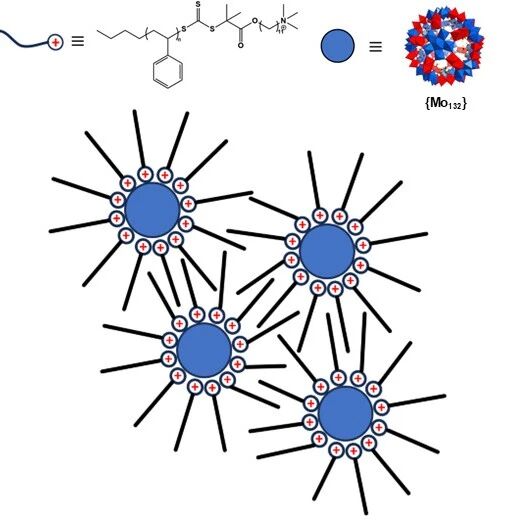 华南理工大学殷盼超教授团队Polymer Science & Technology | 通过离子相互作用接枝在分子簇表面聚合物的分子刚性