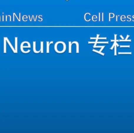 Neuron：“神经-肿瘤跨界”——刘婷婷等揭示"局部交感神经-免疫轴"抑制黑色素瘤生长的新机制