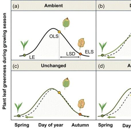 Journal of Ecology | 兰州大学研究人员发现增温通过提前返青和增加土壤干旱提前了高寒草甸植物叶片衰老
